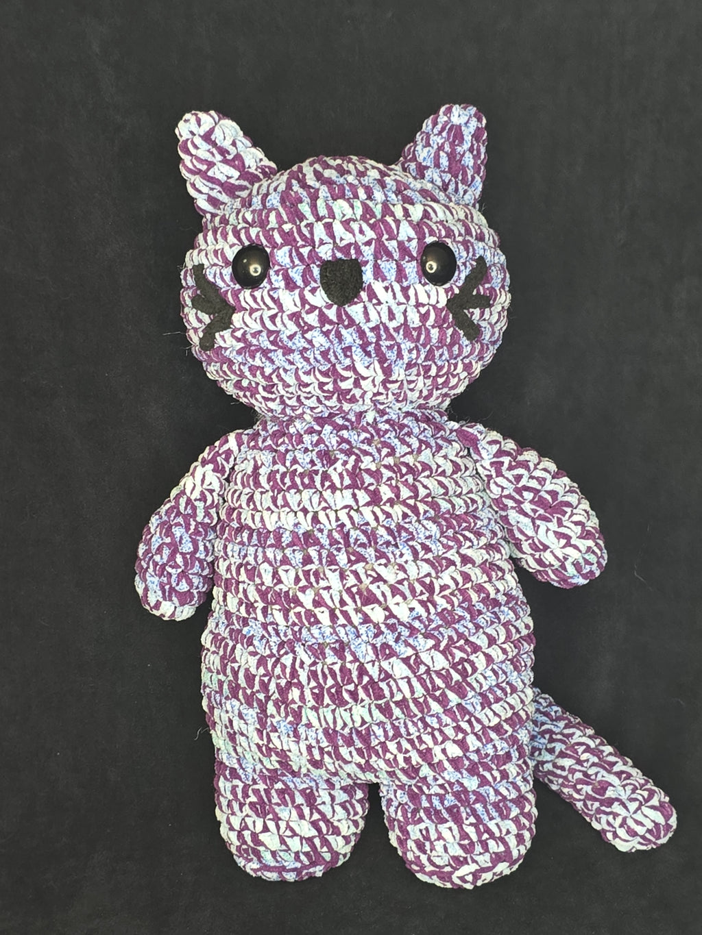 LITTLE BUDDY: Cat
