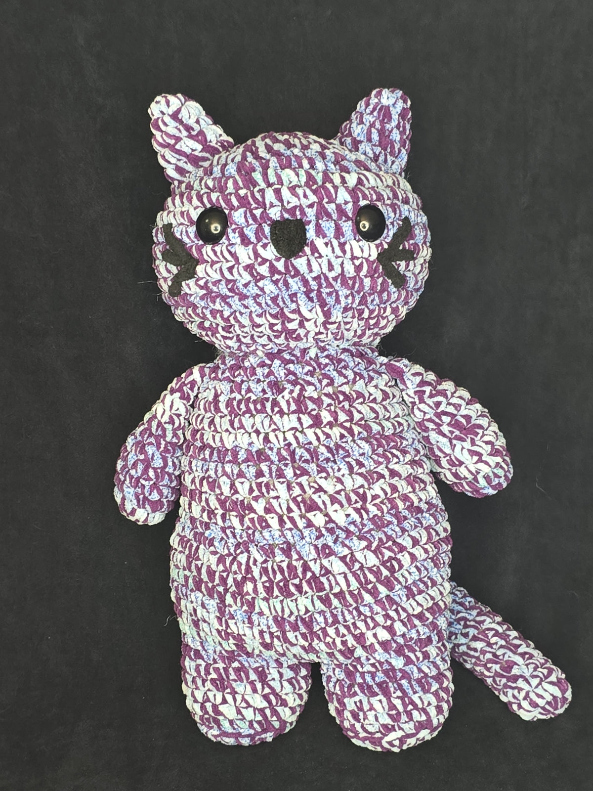 LITTLE BUDDY: Cat