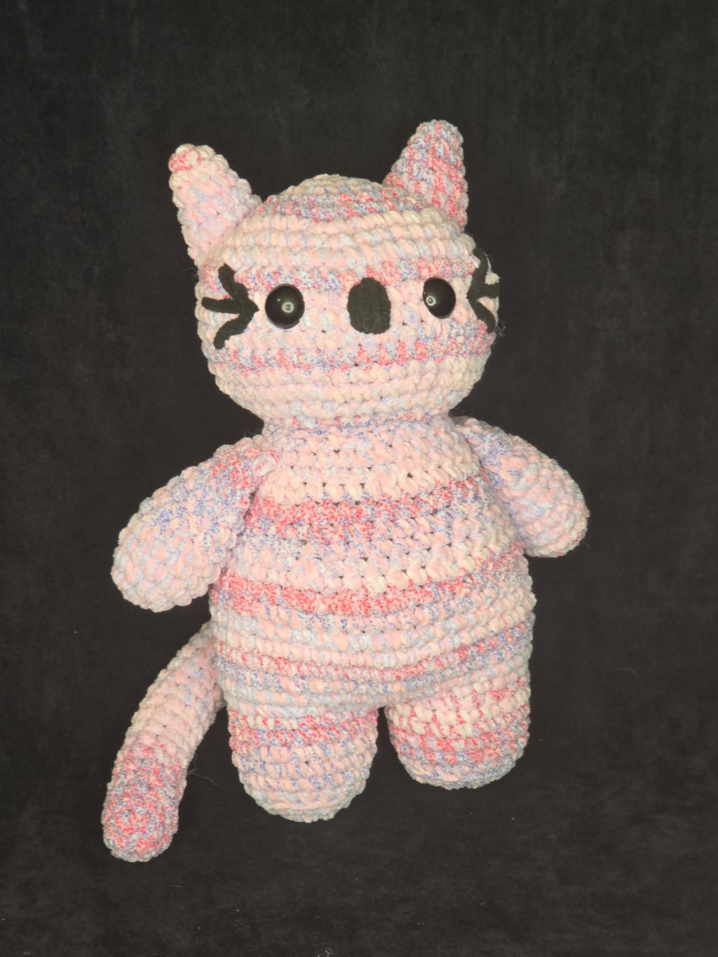 LITTLE BUDDY: Cat