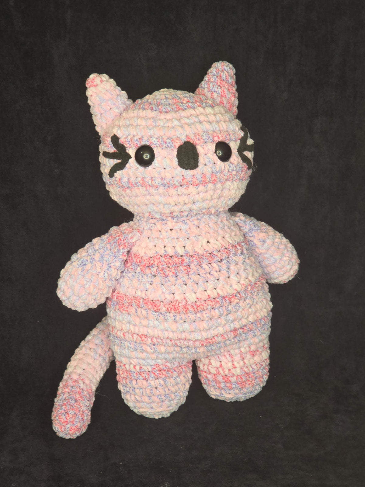 LITTLE BUDDY: Cat